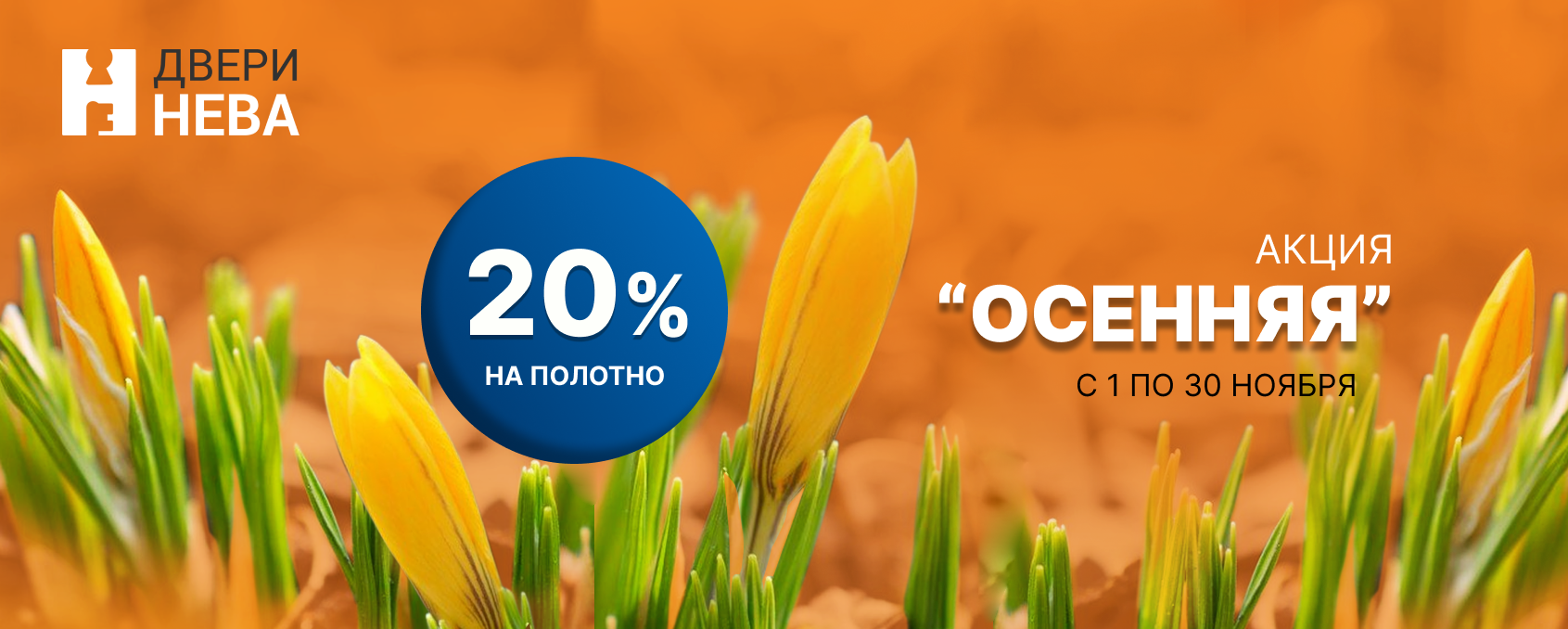 Акция 20%